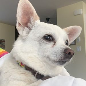 Meet your Posher, Madi